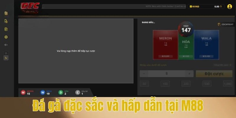 Trang Web Đá Gà Trực Tuyến - Gợi Ý Top 5 Địa Chỉ Hàng Đầu Hiện Nay 3 Đá gà đặc sắc và hấp dẫn tại M88