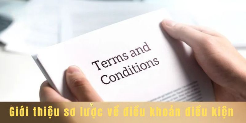 Điều Khoản Điều Kiện Kubet 1 Giới thiệu sơ về điều khoản điều kiện Kubet