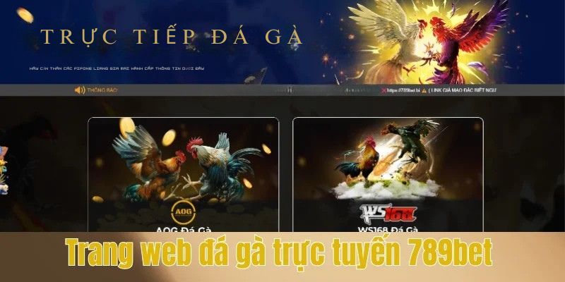 Trang Web Đá Gà Trực Tuyến - Gợi Ý Top 5 Địa Chỉ Hàng Đầu Hiện Nay 2 Trang đá gà kubet đang gây sốt